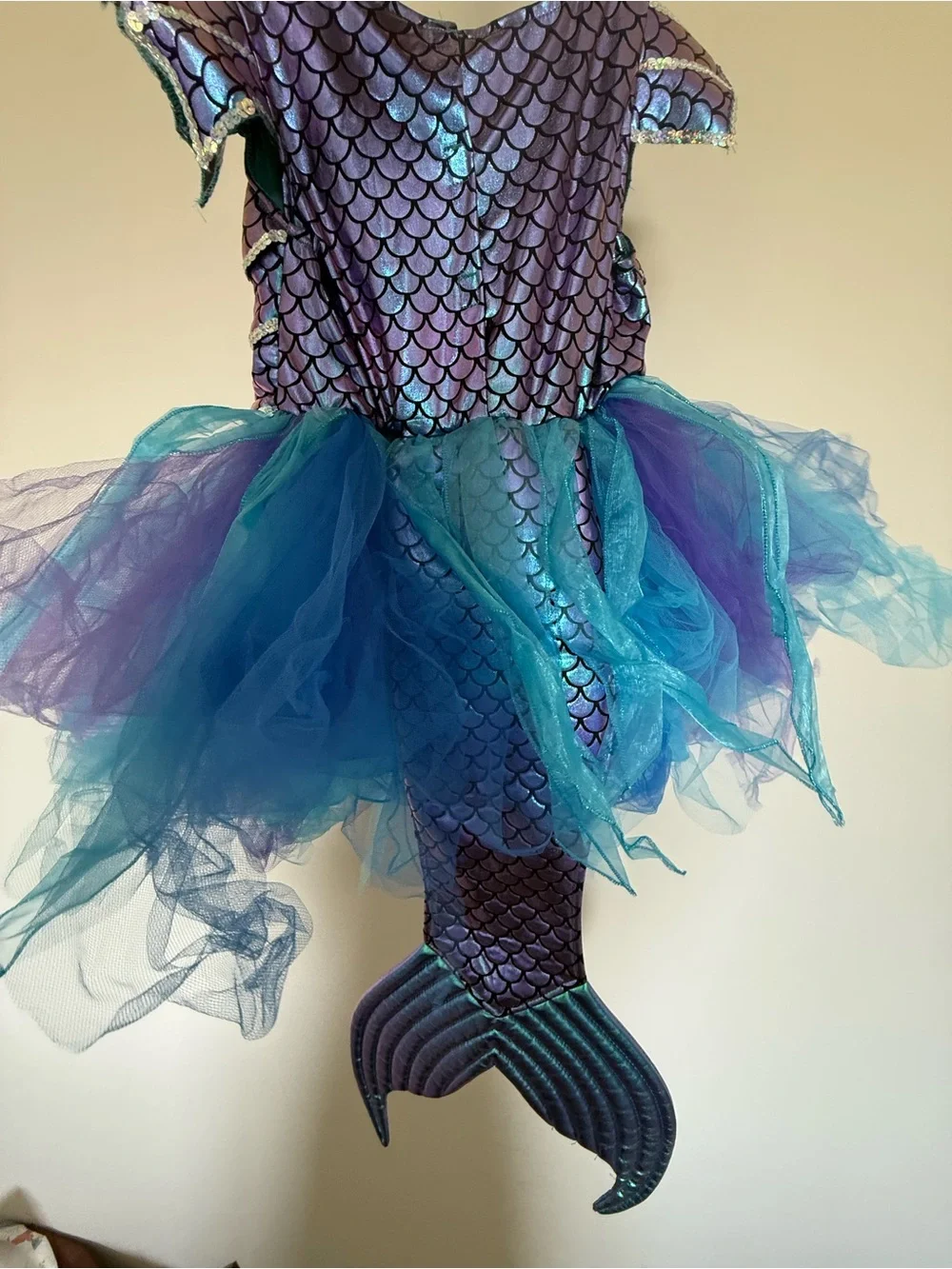 Gillian’s closet Fish costume
